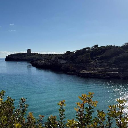 ס'אלגר La Calma Espectacular Villa Con Jardin Y Piscina En Menorca מראה חיצוני תמונה
